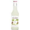 Monin Sirup Cocos 250ML -Lebensmittelgeschäft monin sirup kokosnuss 025l